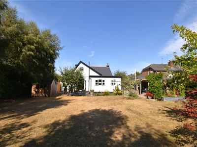 Picture 38